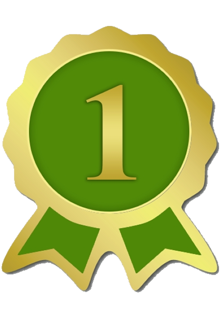 Logo VirtuVot
